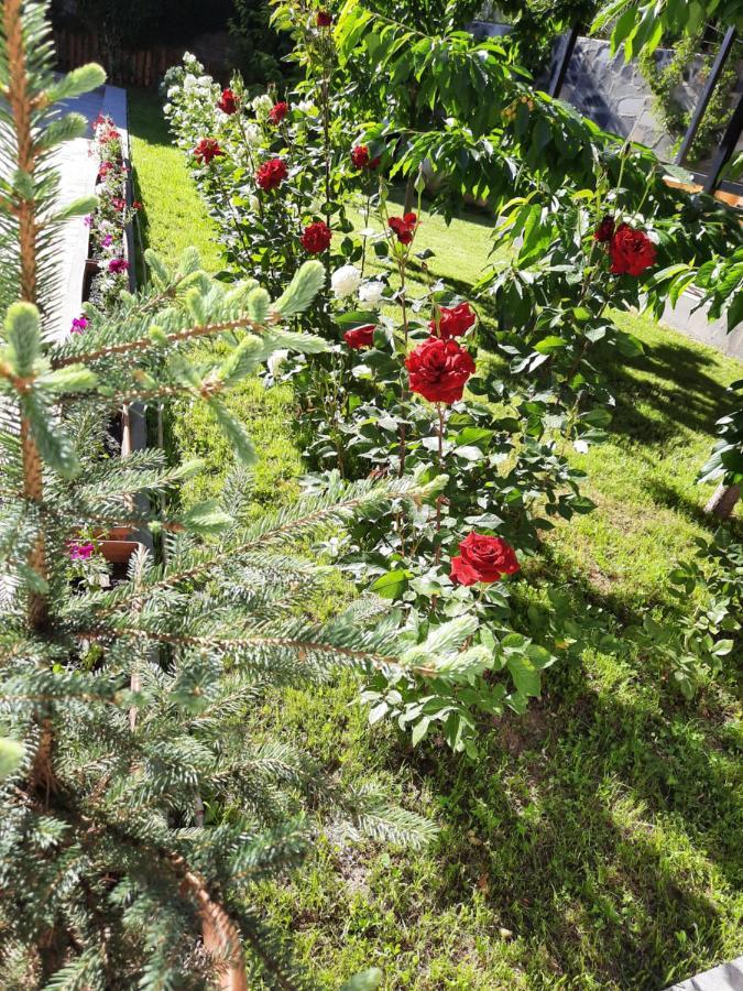 Cherry Garden Boutique Hotel Yeghegnadzor 외부 사진