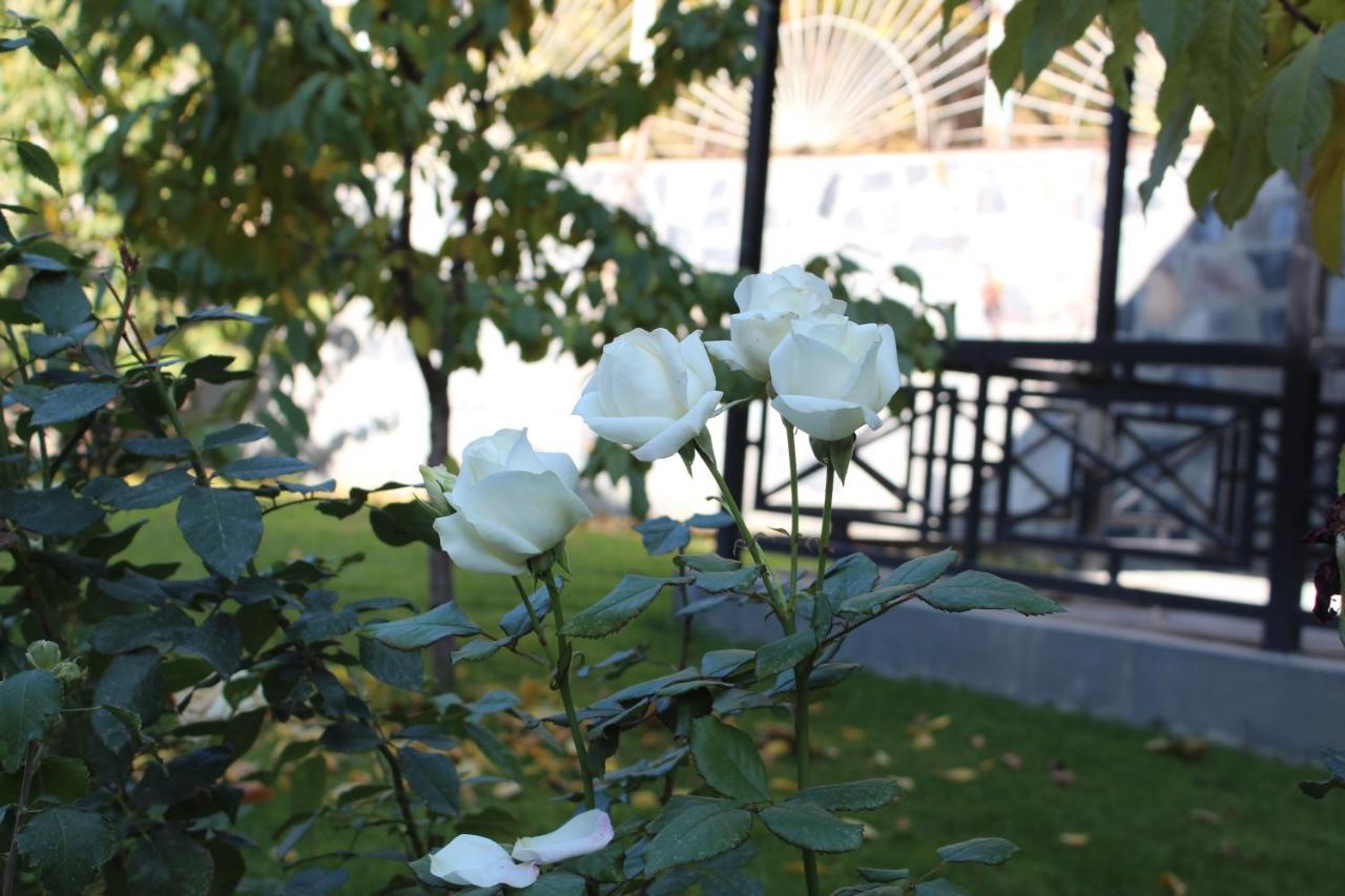 Cherry Garden Boutique Hotel Yeghegnadzor 외부 사진